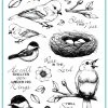 Gina K Designs - STAMPS- Beautiful Birds -Pink Ink Designs Shop beautiful birds for web 01