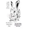 Sweet Poppy Stencil: A5 Stamp Set Hare -Pink Ink Designs Shop hare w 180x300 sized 300x389 1