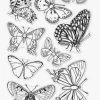 Hero Arts - Beautiful Butterflies Clear Stamp Set -Pink Ink Designs Shop screenshot2023 03 14165045