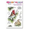 Stampendous - Birds And Bunnies Perfectly Clear Stamps -Pink Ink Designs Shop stampendous birds and bunnies perfectly clear stam